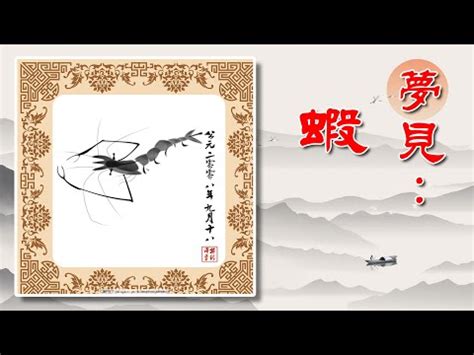 夢見蝦子號碼|周公解夢：夢見蝦子